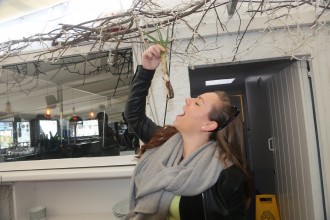 tes_spain2017_pre_146